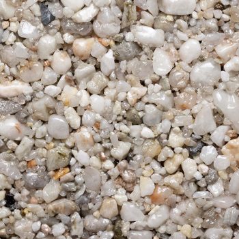 Oyster Pearl